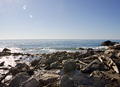 ocean shoreline with rocks and waves